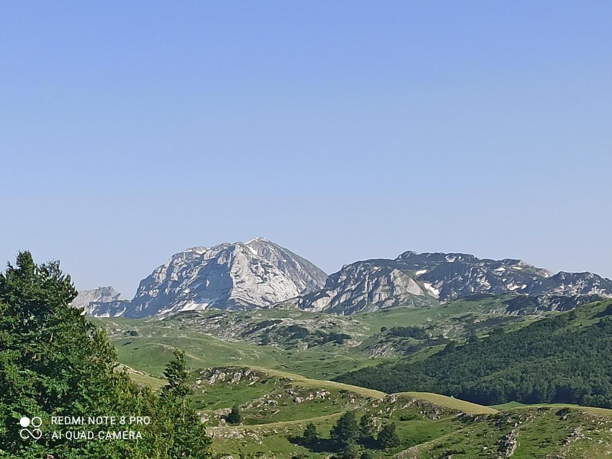 Katun Ljeljenak Hotel Plužine Eksteriør billede