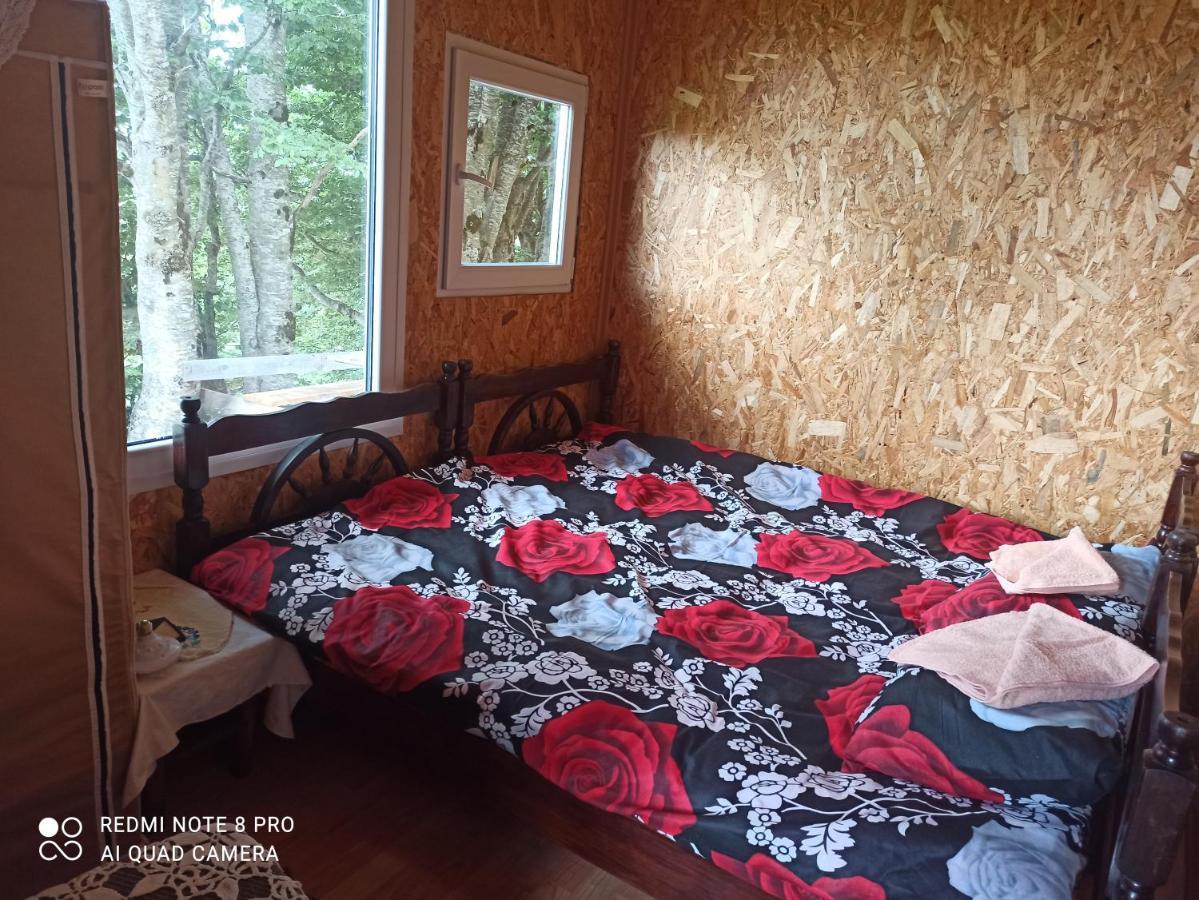 Katun Ljeljenak Hotel Plužine Eksteriør billede