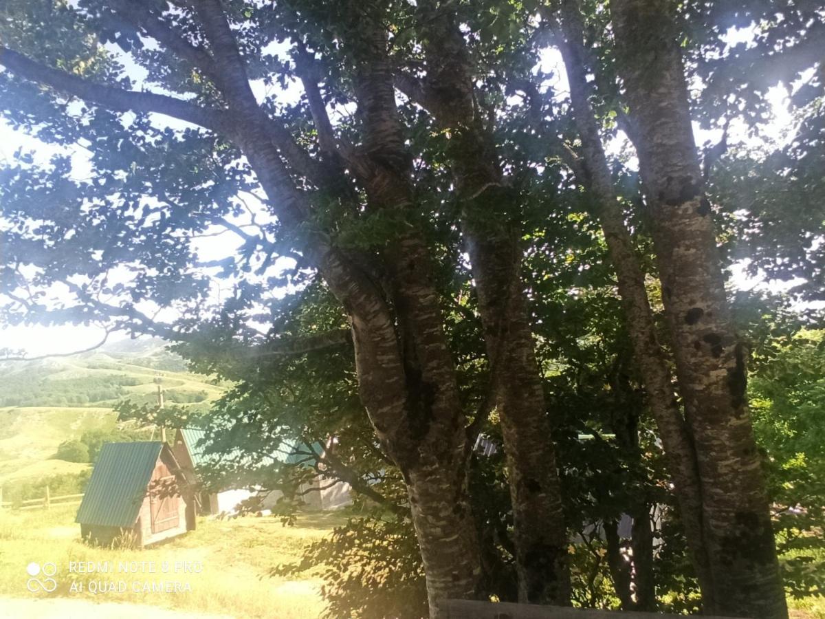Katun Ljeljenak Hotel Plužine Eksteriør billede