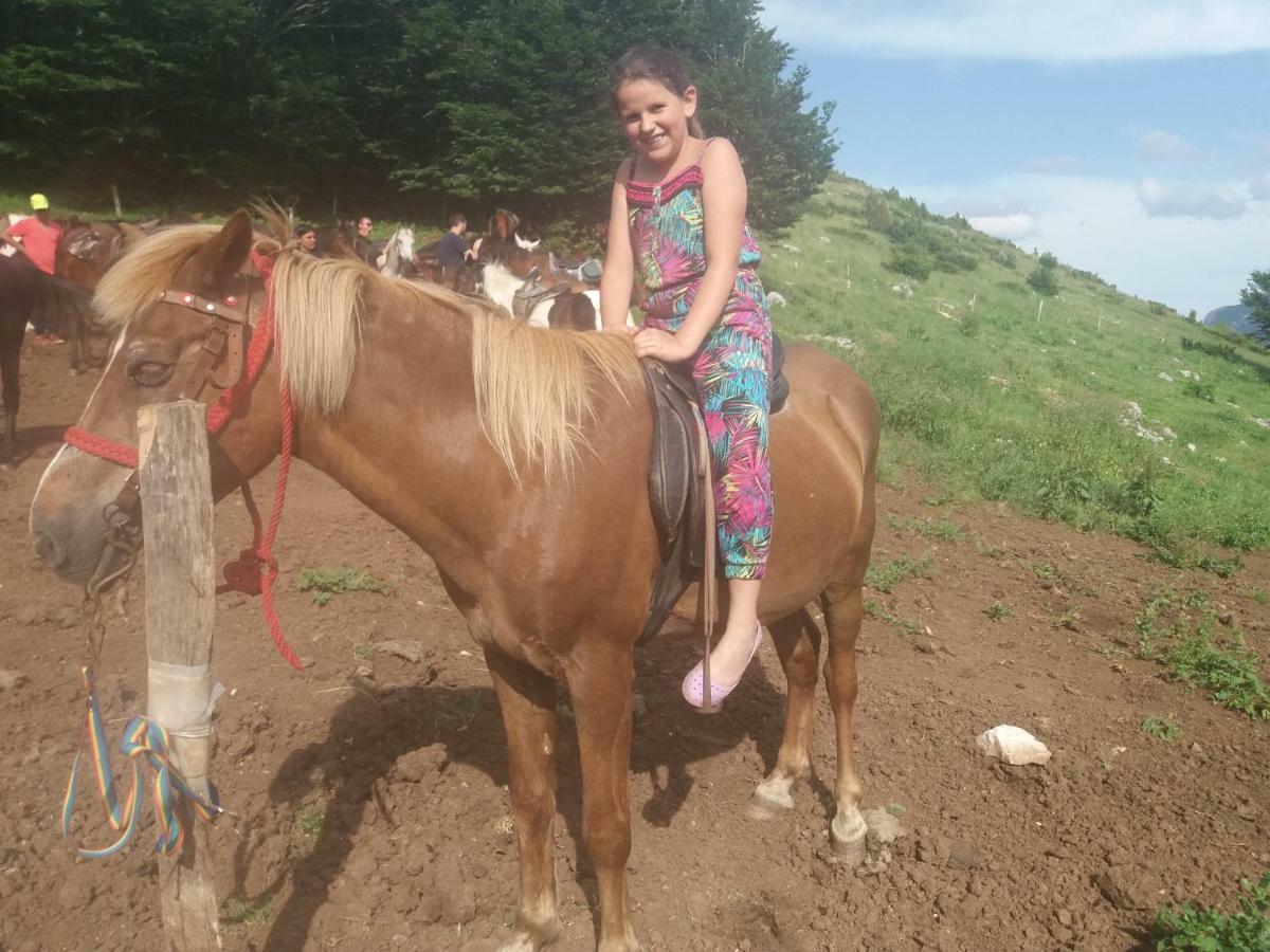 Katun Ljeljenak Hotel Plužine Eksteriør billede