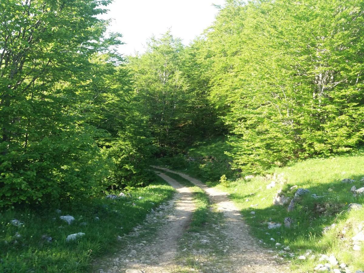 Katun Ljeljenak Hotel Plužine Eksteriør billede