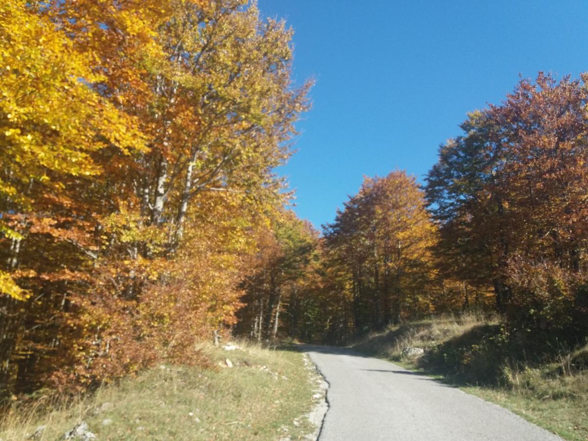Katun Ljeljenak Hotel Plužine Eksteriør billede