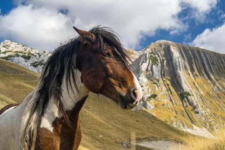 Katun Ljeljenak Hotel Plužine Eksteriør billede